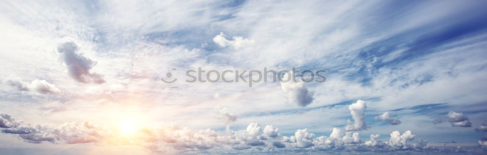 Similar – Image, Stock Photo Seagull in the light