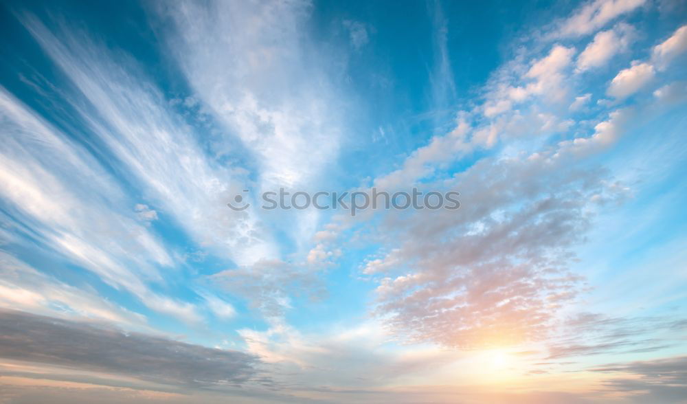 Similar – Image, Stock Photo silent Environment Nature