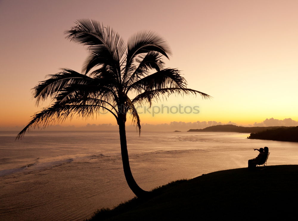 Similar – Image, Stock Photo Los Angeles Beach at Santa Monica Pier