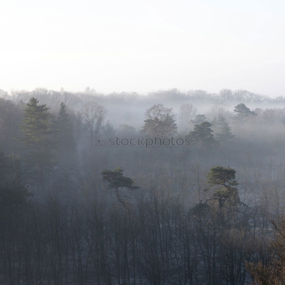 Similar – Image, Stock Photo Kraichgau. Nature