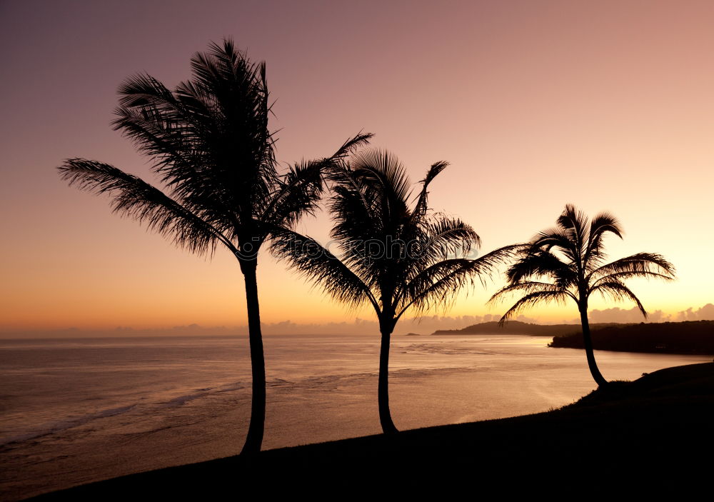 Similar – Image, Stock Photo Los Angeles Beach at Santa Monica Pier