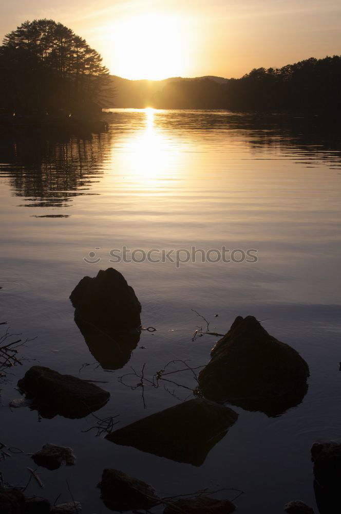 Similar – Image, Stock Photo fly away Colour photo