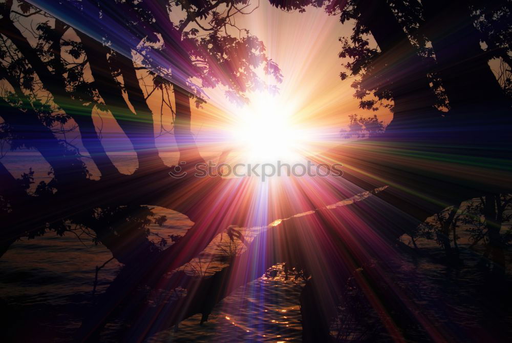 Similar – Image, Stock Photo the tree Leaf Evening Tree