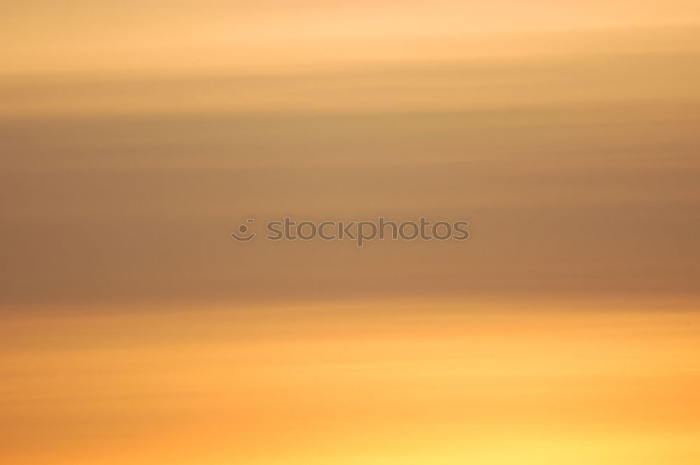 Similar – Image, Stock Photo Sunken in a sea of yellow fog