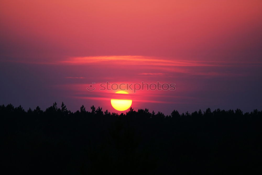 Similar – Image, Stock Photo Sunset over forest