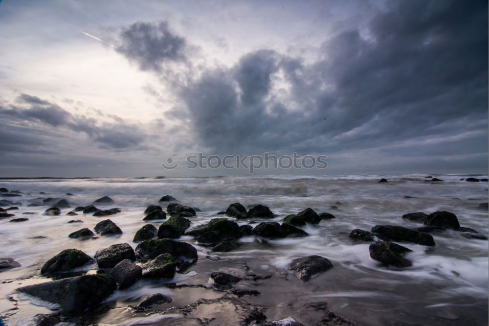 Similar – Image, Stock Photo Driftwood on the coast of the Baltic Sea