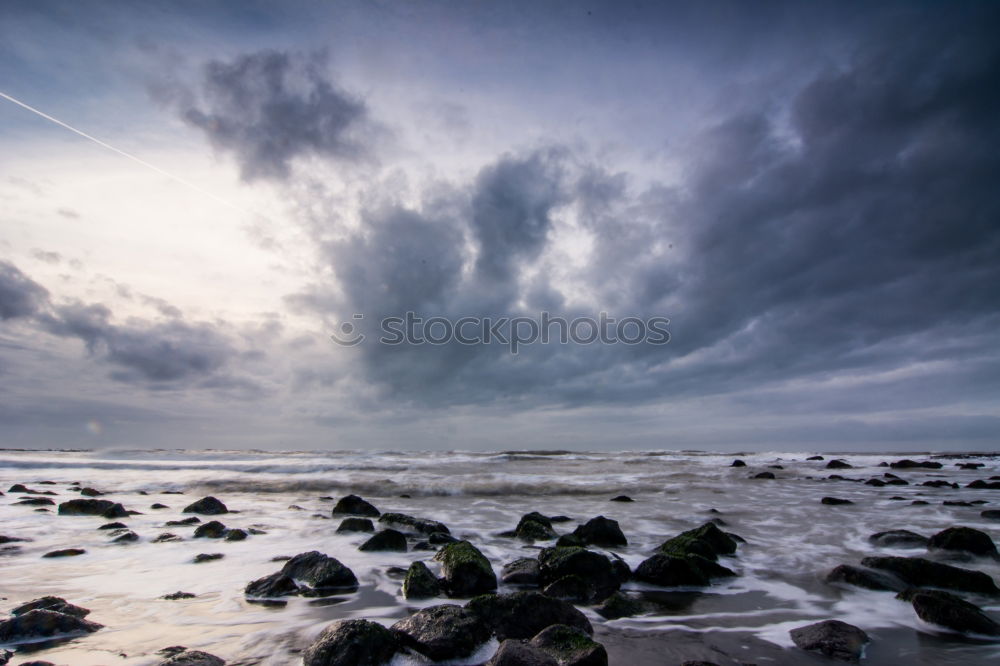 Similar – Image, Stock Photo beach walk Environment