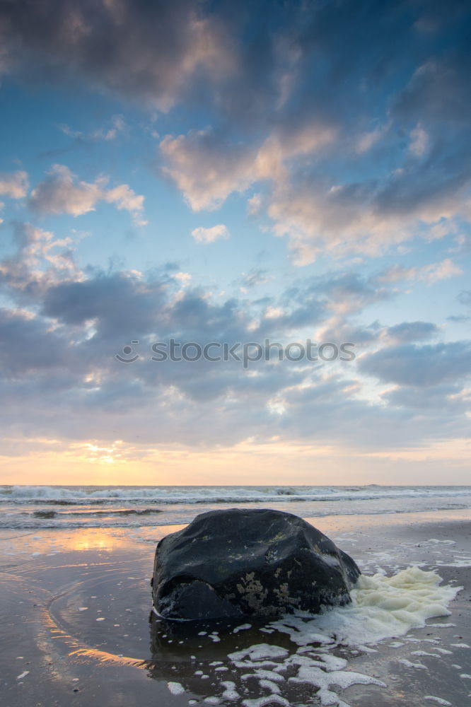 Similar – Image, Stock Photo two happy dogs having fun at the beach. Running