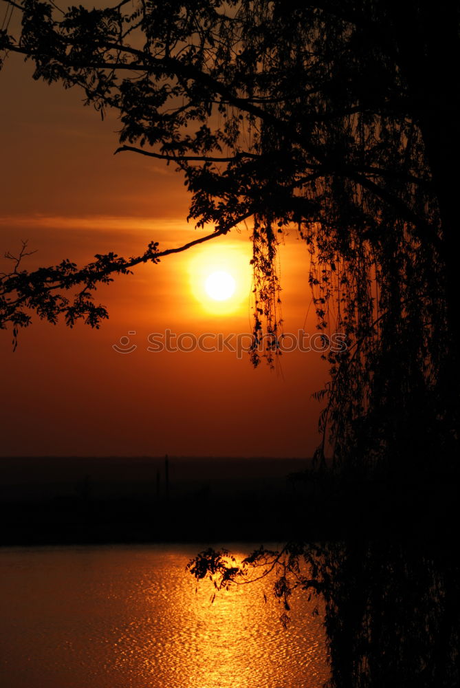 Similar – Image, Stock Photo The lake rests still