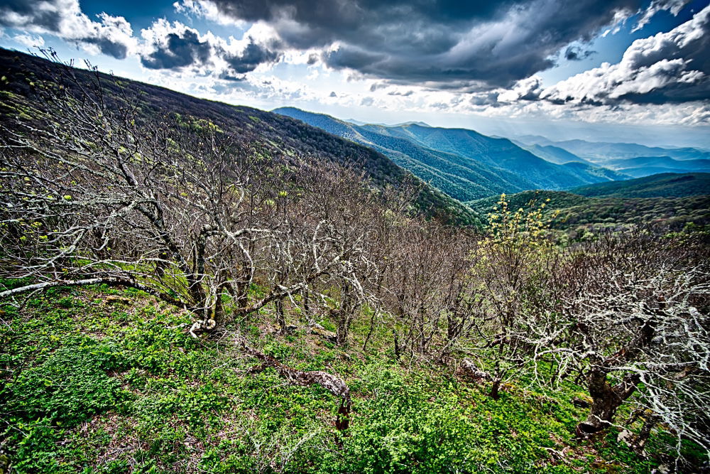 Similar – Image, Stock Photo valley view Environment