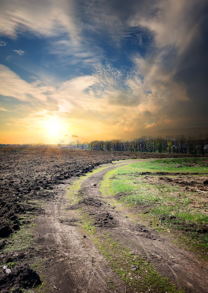 Similar – Weg Baum Wiese Herbst