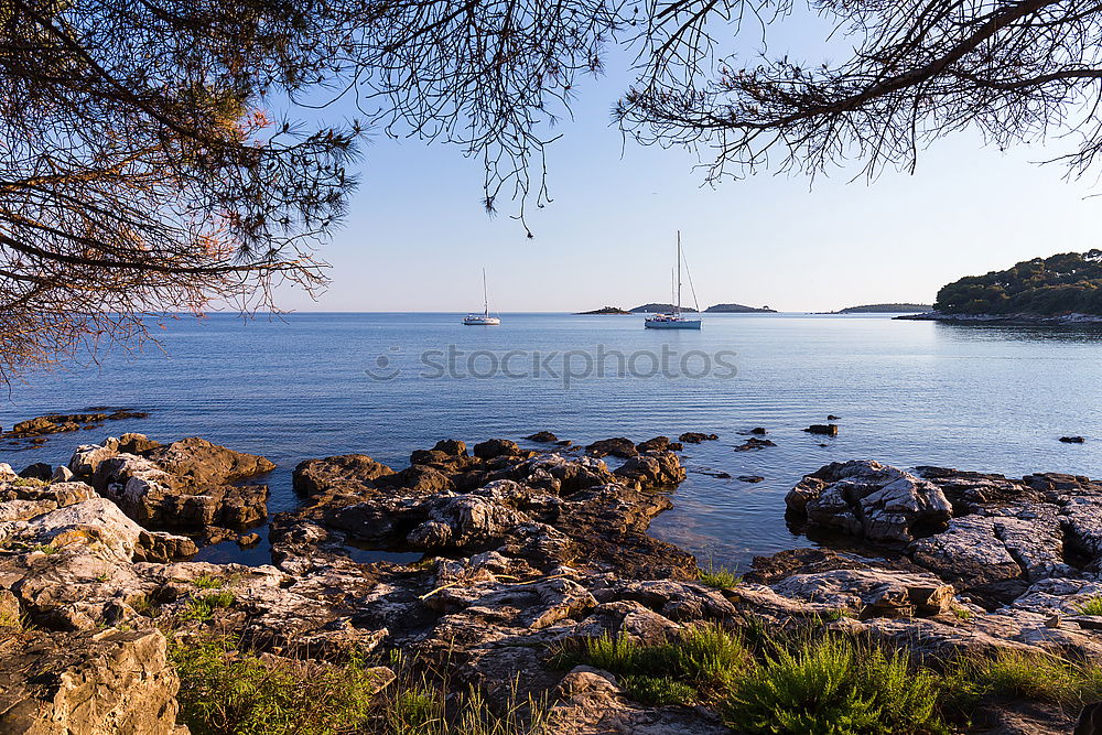 Archipelago Island in Sweden