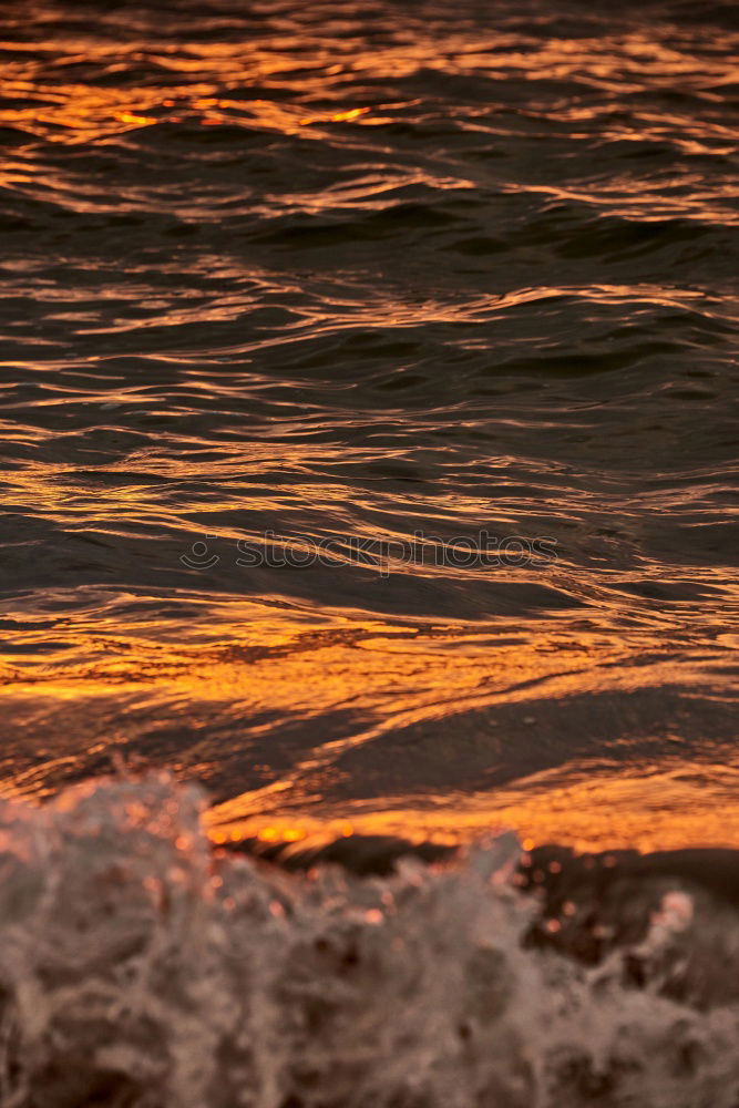 Similar – Orange Sea. Environment