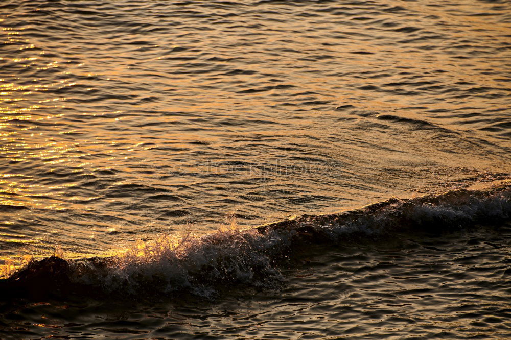 Similar – Low tide? Ocean Surfing