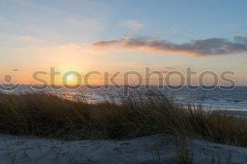 Similar – Image, Stock Photo Heiligendamm Environment