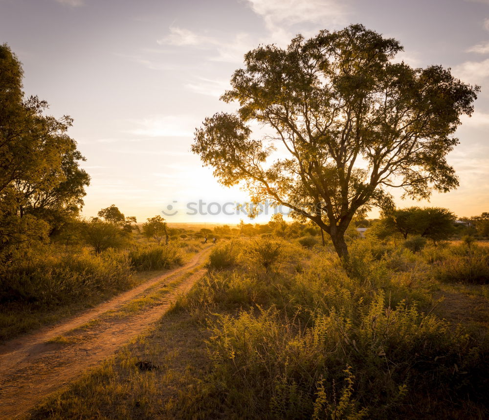 Similar – outback Outback Australia