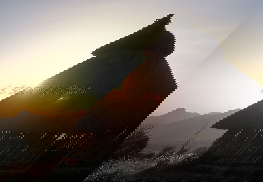 Similar – Foto Bild Bast-Sonnenschirme in Abenddämmerung