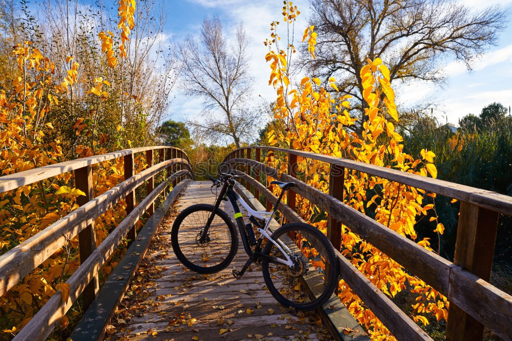 Similar – Waschküche Fahrrad Herbst