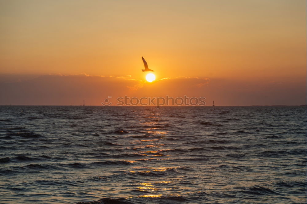 Similar – Sunrise at the sea Beach