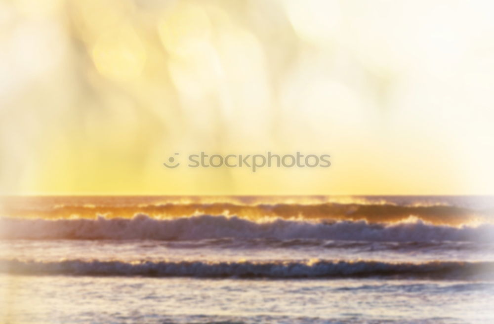 SUNRISE SURF I New Zealand