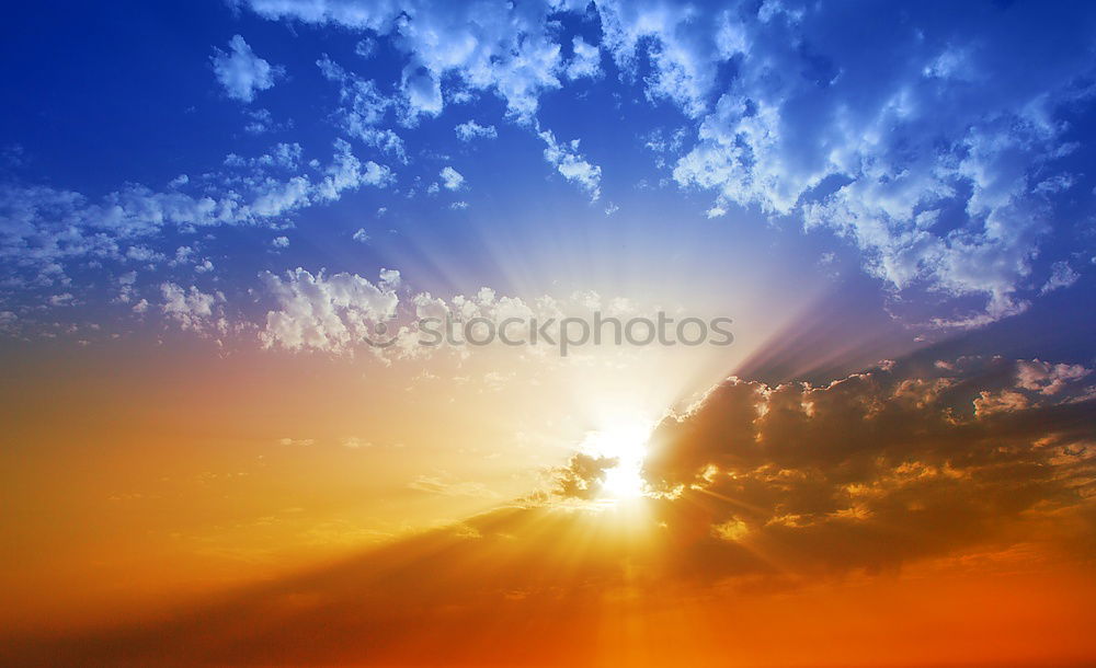 Similar – Image, Stock Photo lovers to the sunset Life