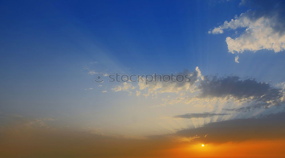 Similar – sonnenfreuden Blume grün