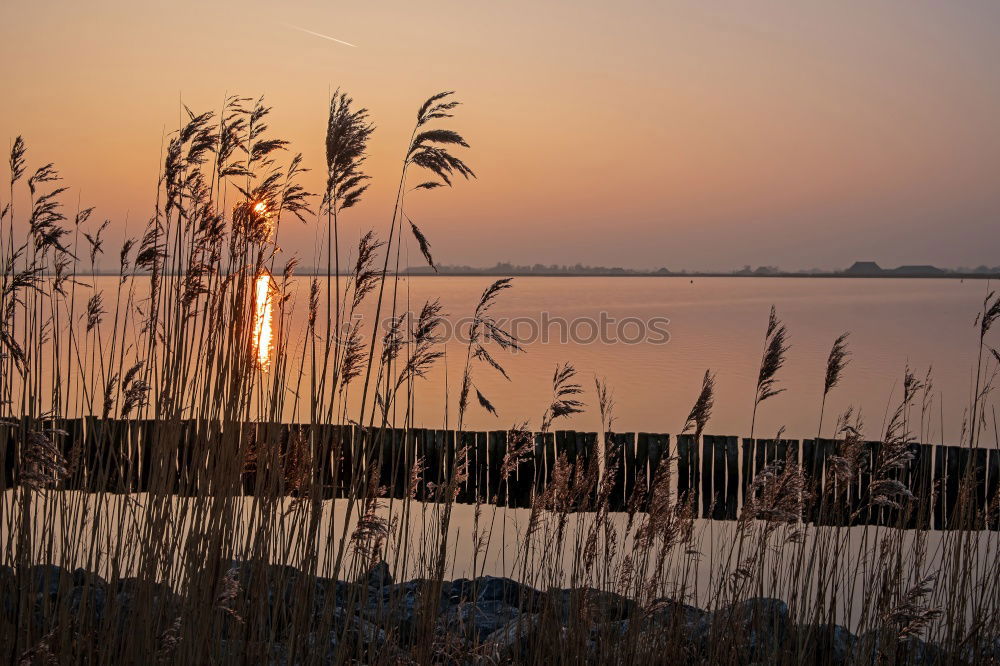 Similar – Image, Stock Photo View over the Warnow to Rostock in winter