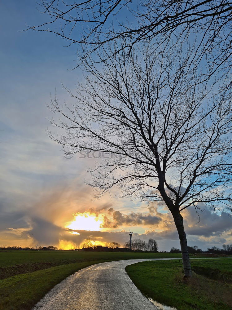 Similar – Weg Baum Wiese Herbst