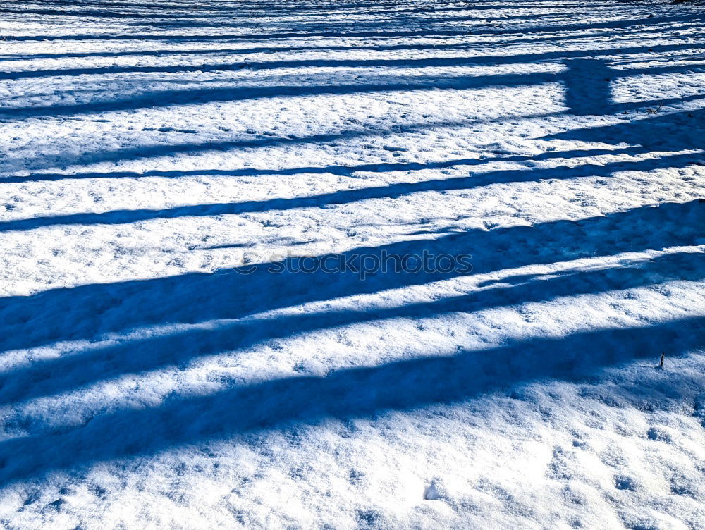 Similar – ausgebüxt Winter gefroren