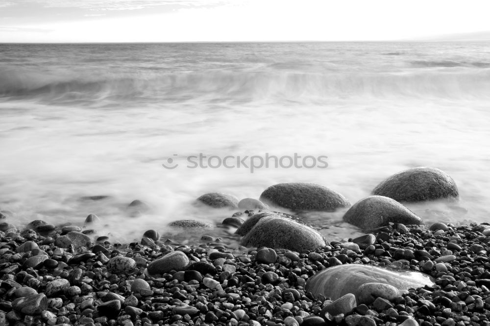 Similar – winter beach Environment