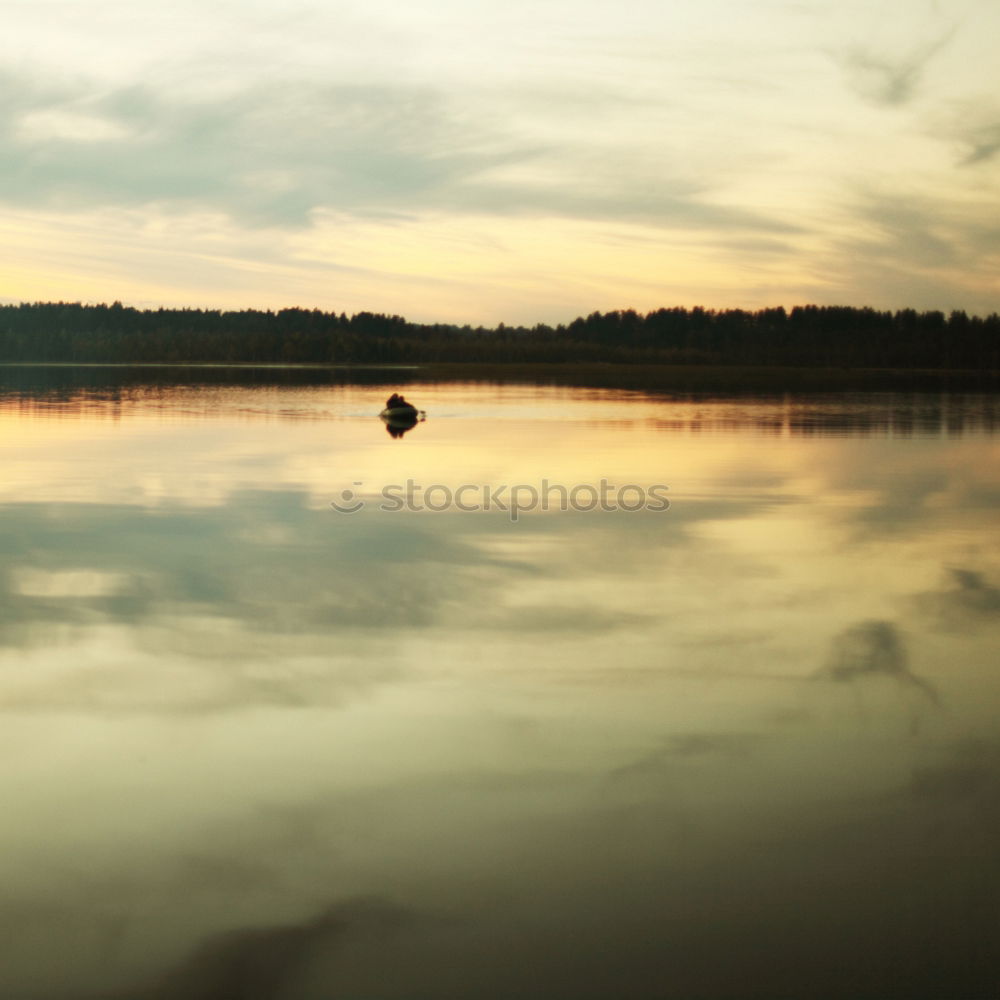 Similar – Sonnenaufgang an der Elbe mit Schwanen Paar und Brücke