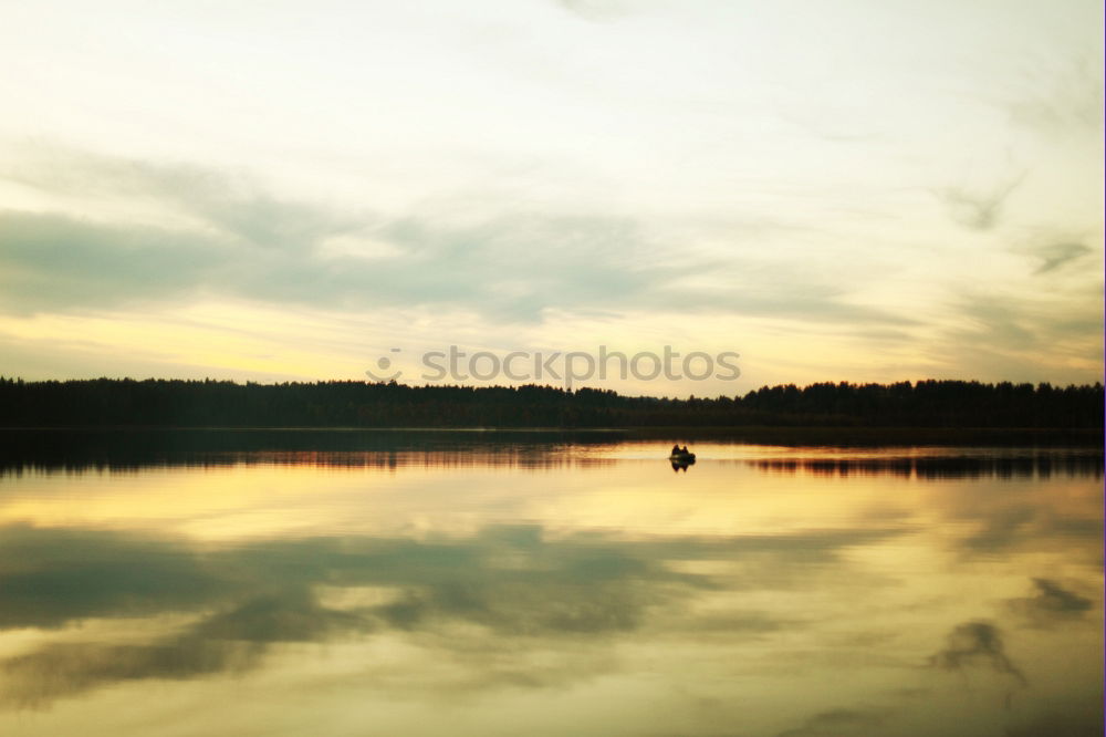 Similar – reflection Tree Wood