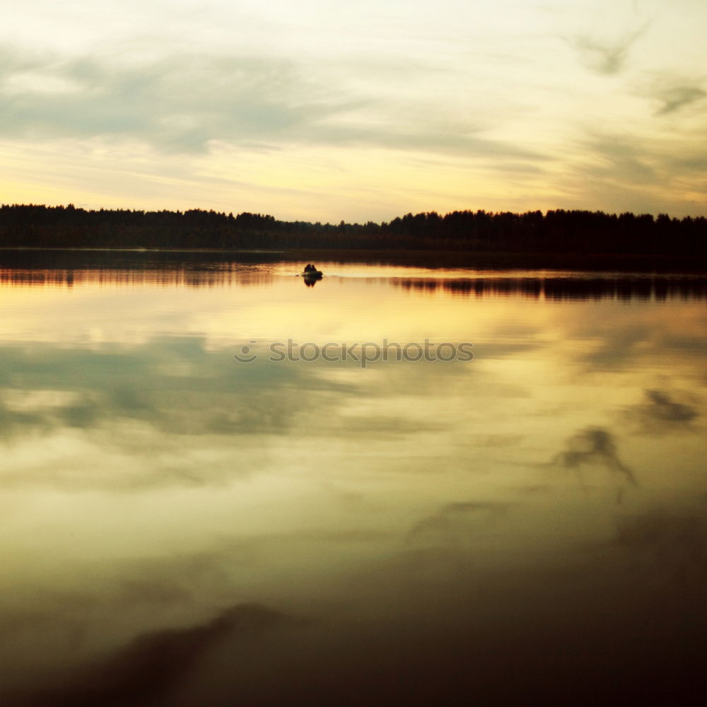 Similar – Möwe Meer Sonnenuntergang