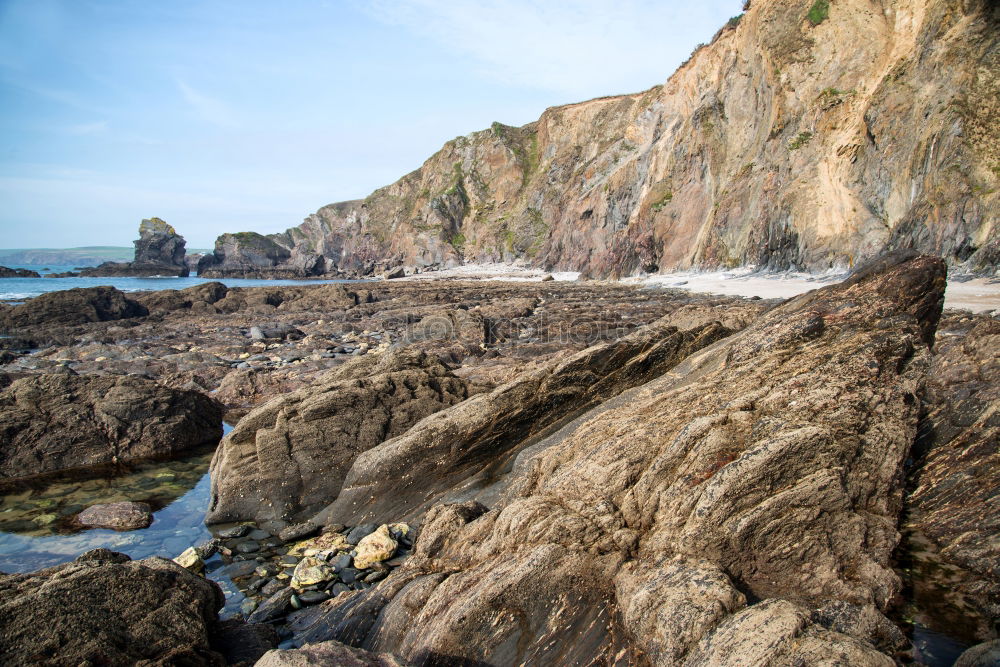 Similar – Beach landscape with cliffs