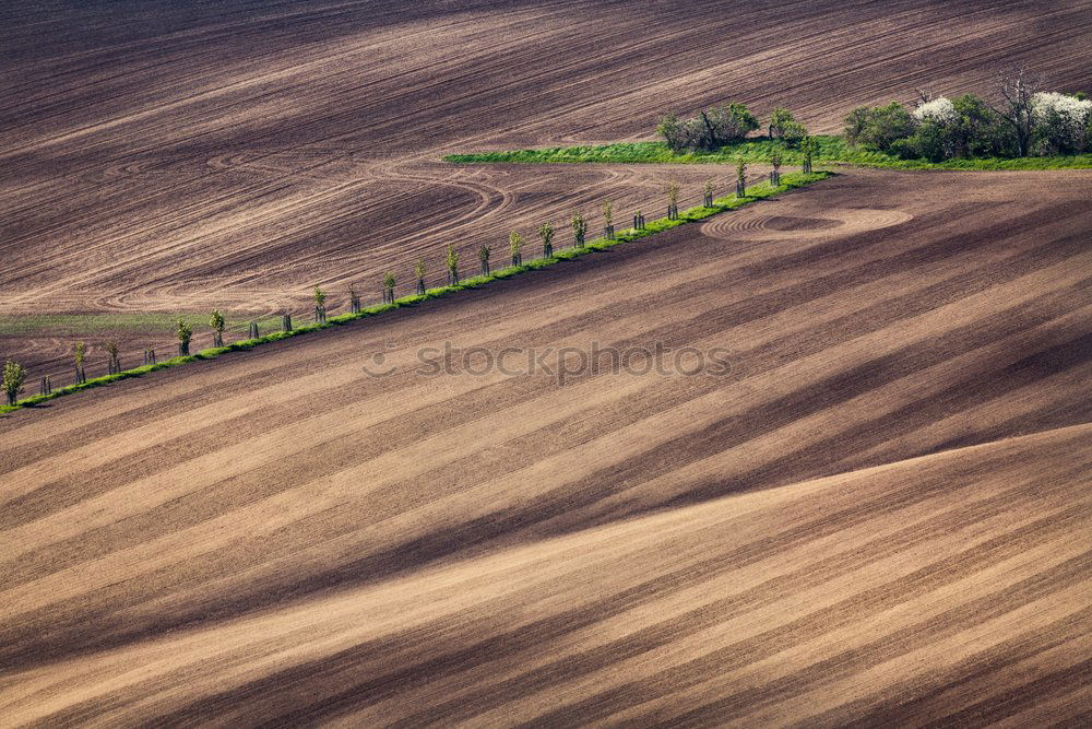 Similar – mini farm Tilt-Shift Small