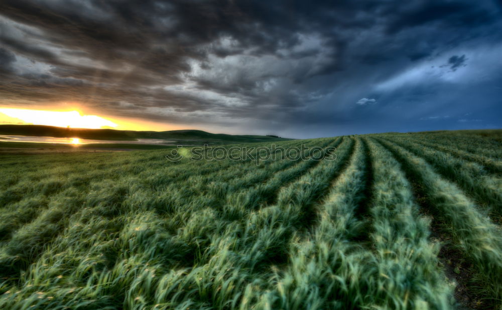 Similar – Grüner Herbst Landschaft