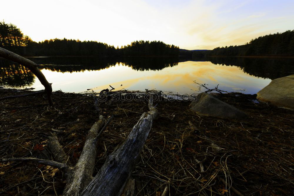 Similar – Image, Stock Photo Splash. Lake Wet