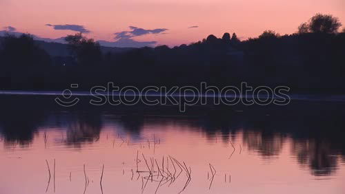 Similar – Sunset Lake Forest Water