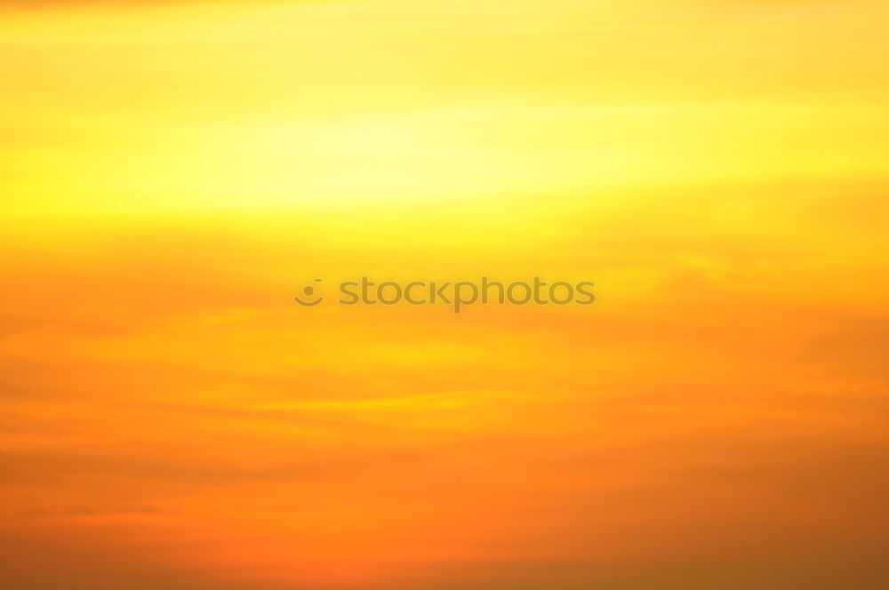 Similar – Image, Stock Photo Orange Environment Nature