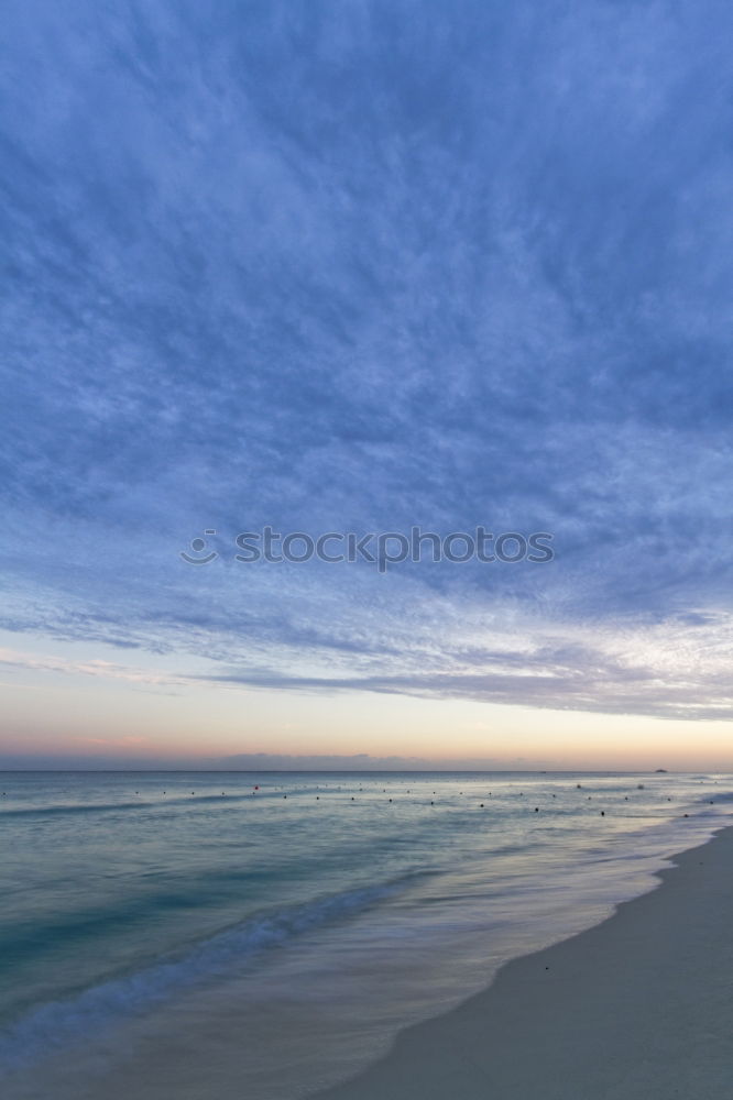 Similar – Image, Stock Photo Coastal forest on the Baltic Sea coast near Nienhagen