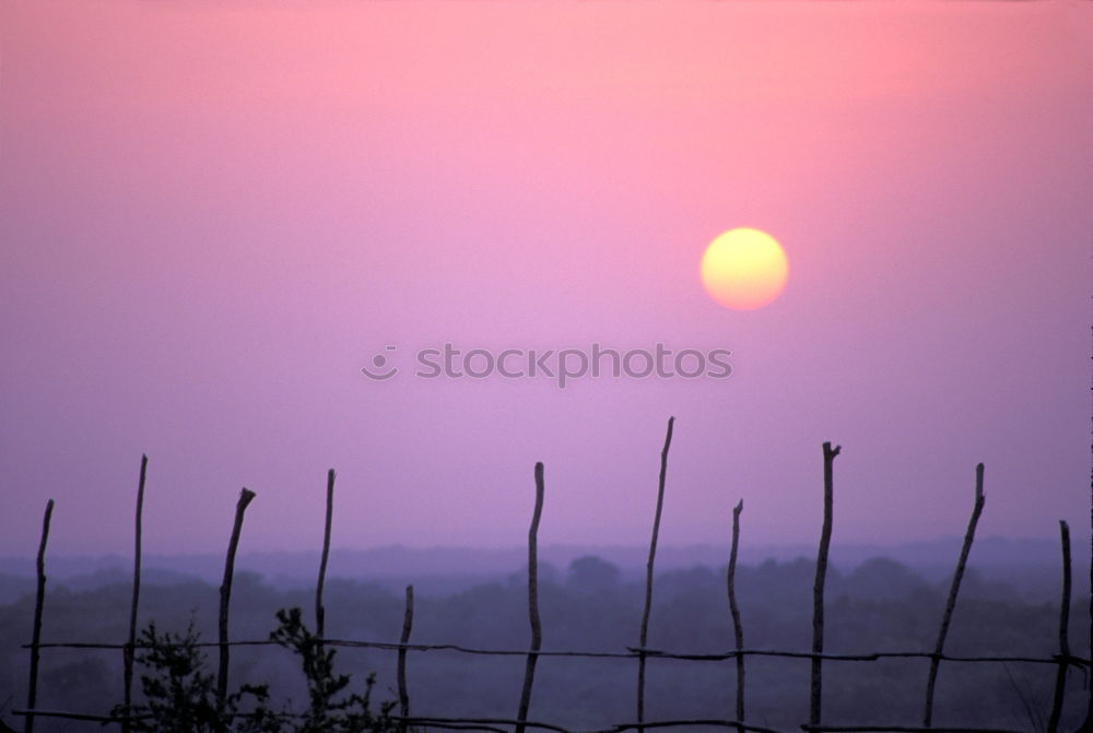 Similar – Image, Stock Photo silhouettes before glowing sun