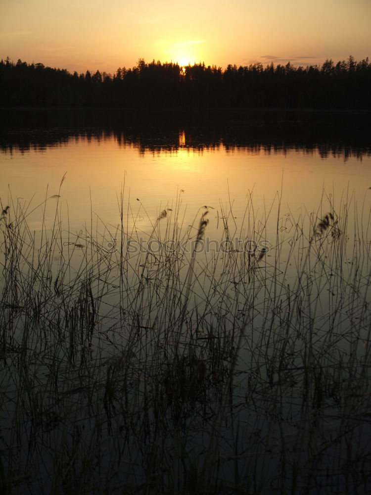 Similar – Sunset at the river Havel