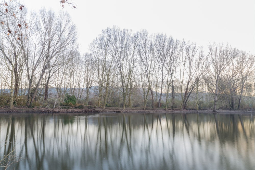 Similar – Rheinauen (Panorama)