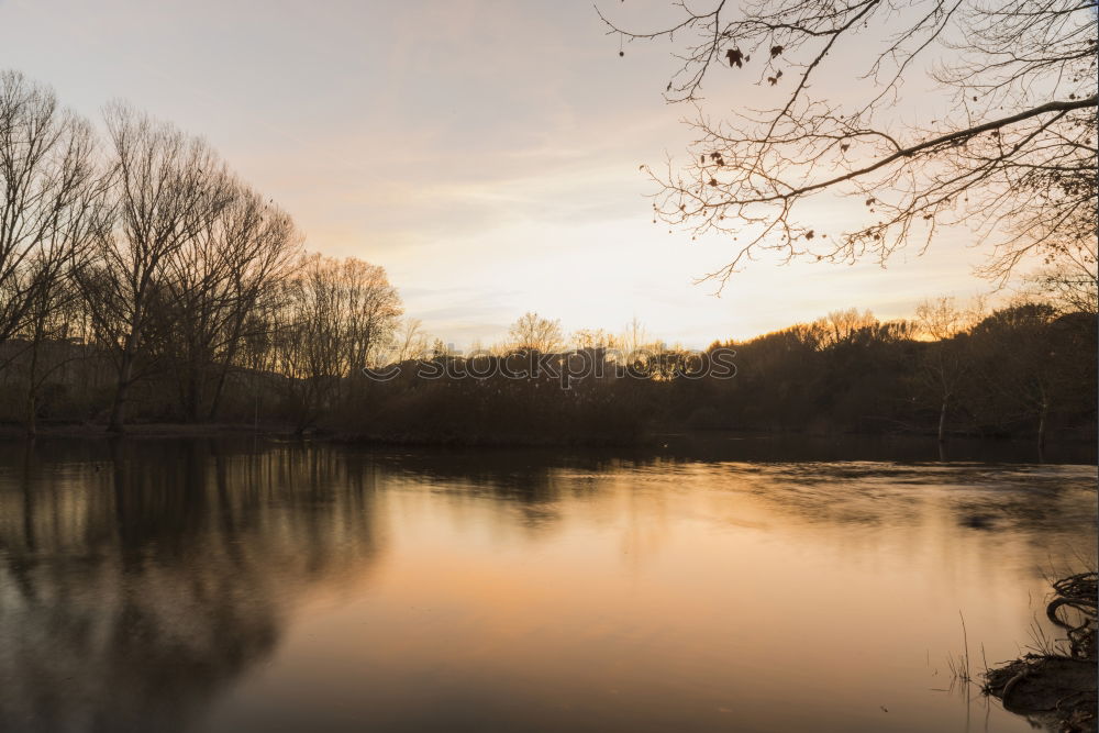 Similar – silent Nature Landscape