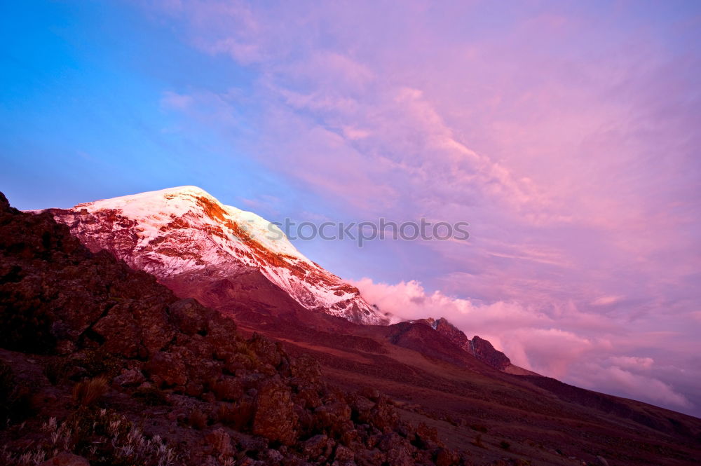 Similar – Wild horses in front of the Cotopaxi volcano in Ecuador