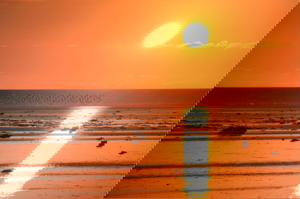 Similar – Image, Stock Photo Sailing into Sunrise