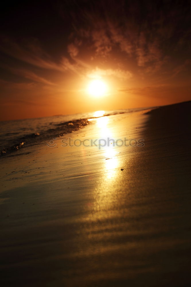 Similar – Image, Stock Photo surfed into the sunset