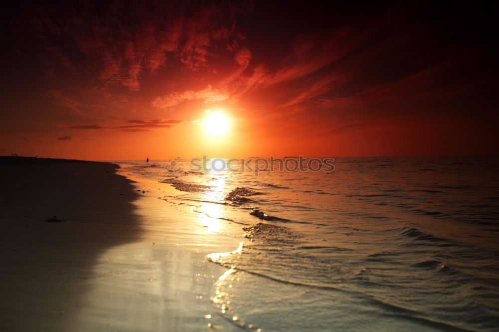 Similar – Image, Stock Photo surfed into the sunset