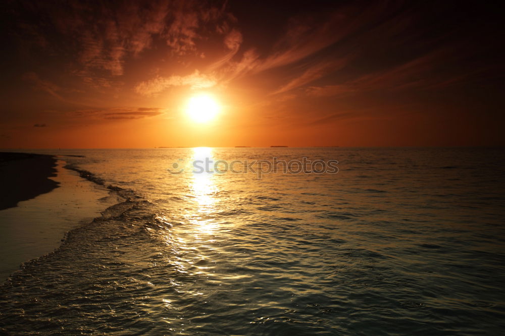 Similar – Image, Stock Photo surfed into the sunset