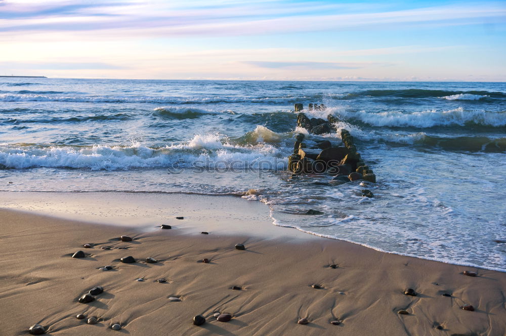 Similar – Image, Stock Photo Dogs running near waving sea